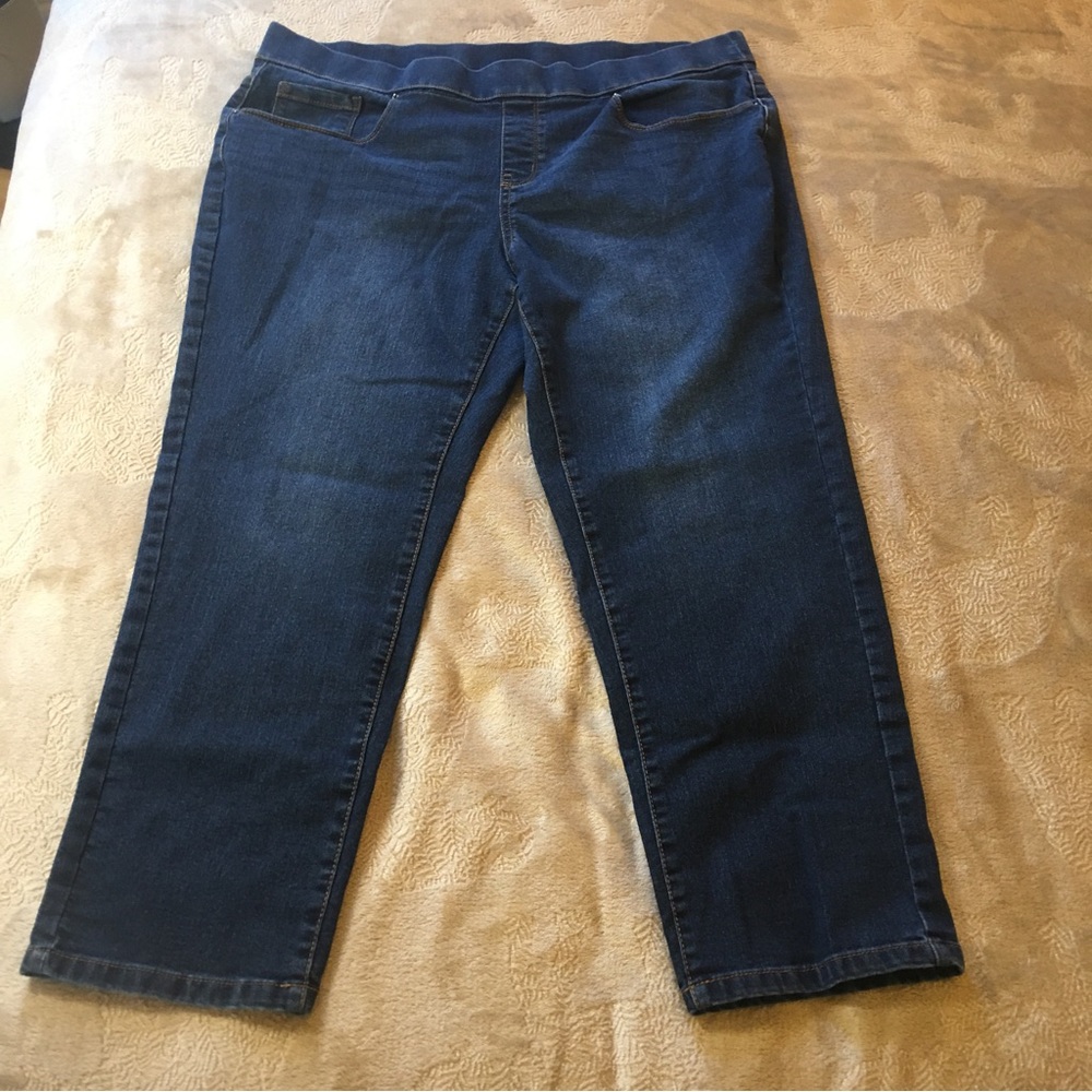 Terra & Sky no zip cropped/petite jeans Size 1X